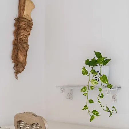 度假居 Seaspray House , Serifos *
