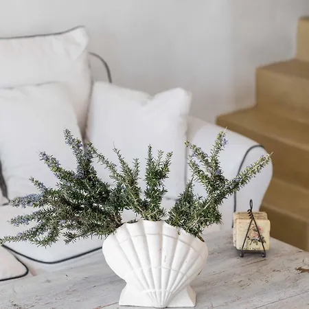 Seaspray House , Serifos 利瓦迪奥